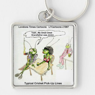 Cricket Pick-Up Lines Funny Keychain