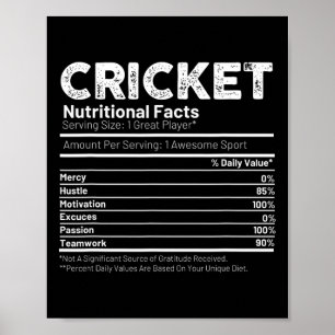 Cricket Player Gift For Men  Poster