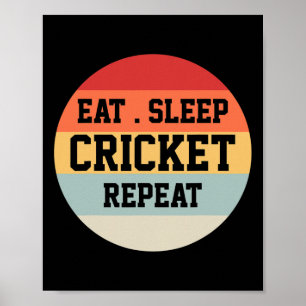 Cricket Player Retro Funny Gift Poster
