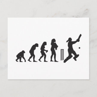 Cricket Postcard