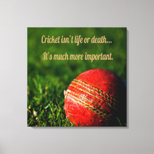 Cricket Red Ball Funny Motivational Canvas Print