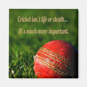 Cricket Red Ball Funny Motivational Magnet