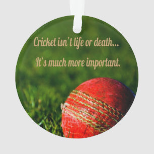 Cricket Red Ball Funny Motivational Ornament