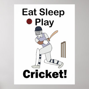 Cricket Sports Eat Sleep Play Cricket Poster