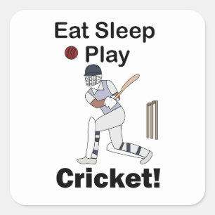 Cricket Sports Eat Sleep Play Cricket Square Sticker