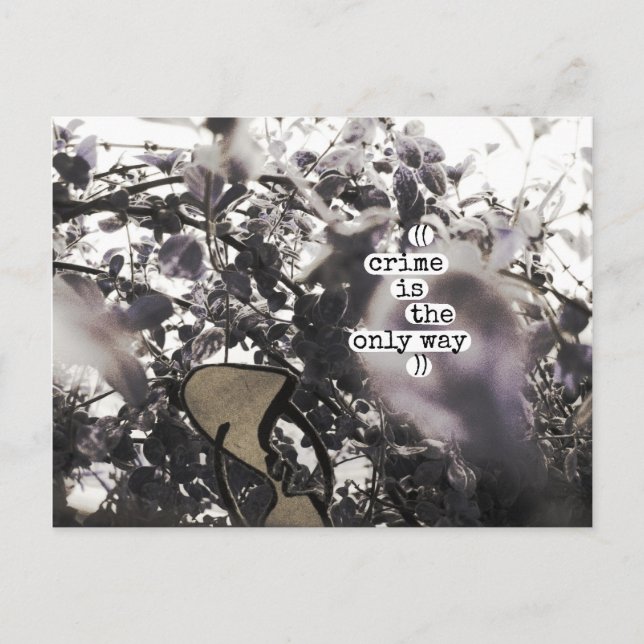 crime is the only way postcard (Front)