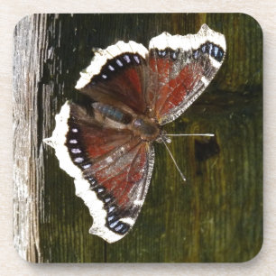 Crimson and White Butterfly Coaster