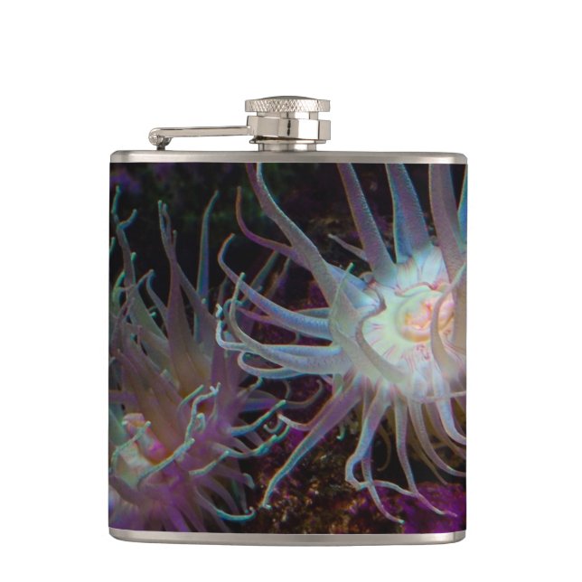 Crimson Anemone Hip Flask (Front)
