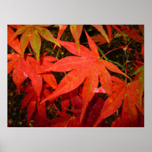 Crimson Autumn Leaves - Personalised Poster