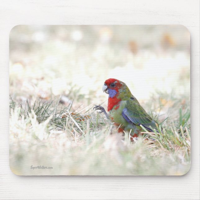 Crimson Beauty Mouse Pad (Front)