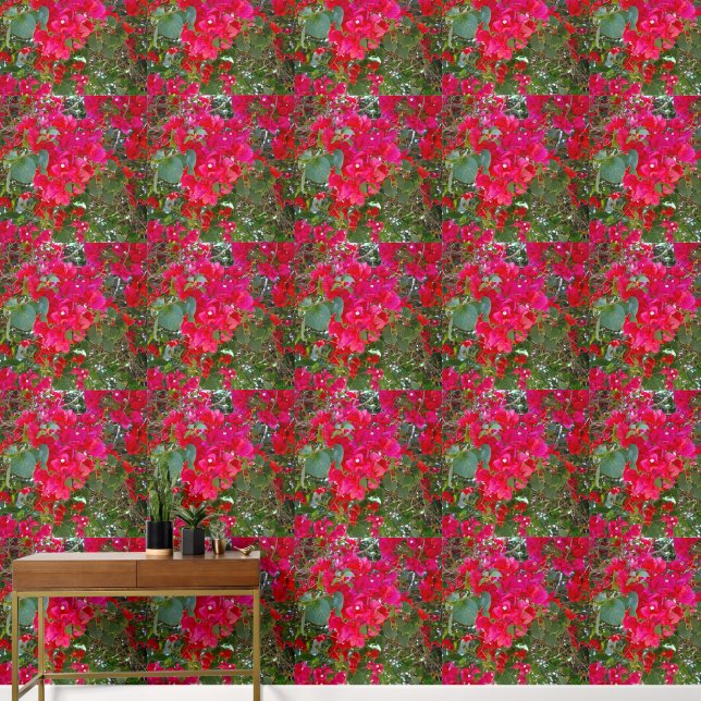 Crimson Blossoms: Dance Of The Red Bougainvilleas  Wallpaper (Hallway)