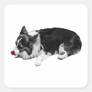 crimson calm lick, corgi square sticker