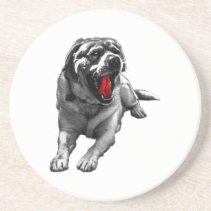 Crimson Cider Companion Coaster