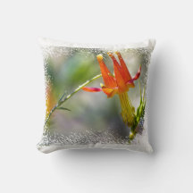 Crimson Columbine White Edge