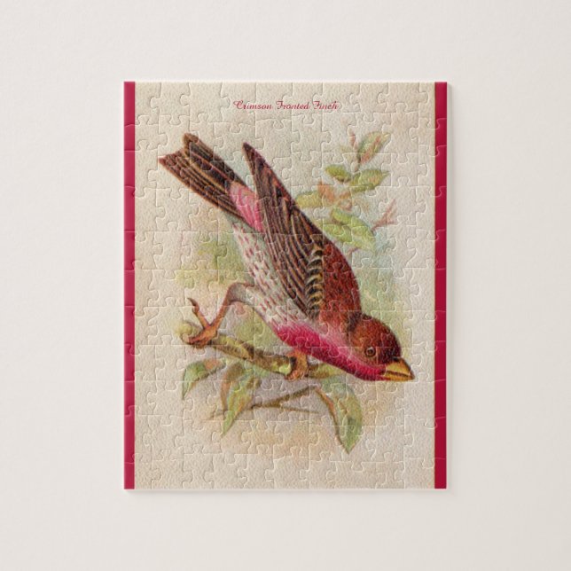 Crimson Fronted Finch Jigsaw Puzzle (Vertical)