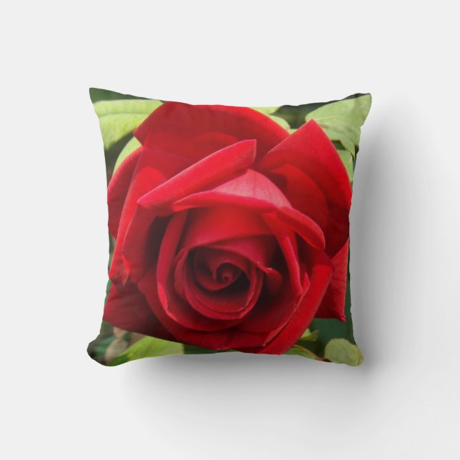 Crimson Glory Rose Pillow (Front)