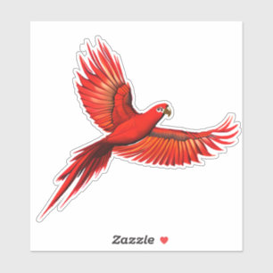 Crimson Macaw / Red Parrot in flight