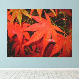 Crimson Maple Leaves - Canvas Print