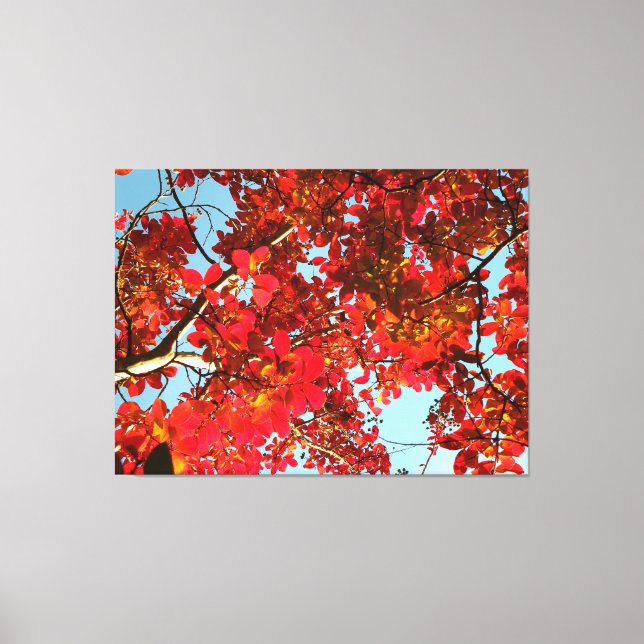 Crimson Myrtle #1 Canvas Print (Front)