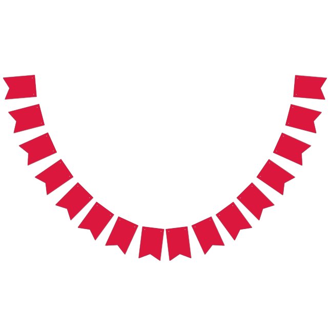 Crimson Red Custom Party Banner (All)