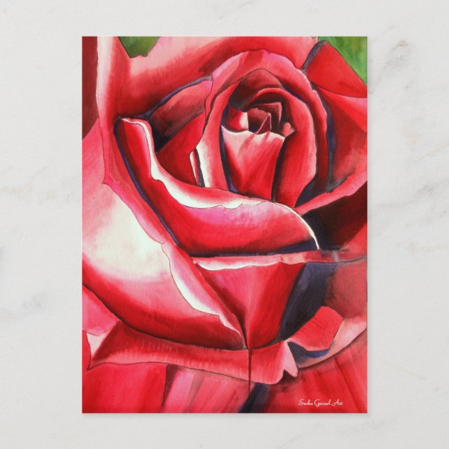 Crimson Red Rose watercolor original art macro Postcard (Front)