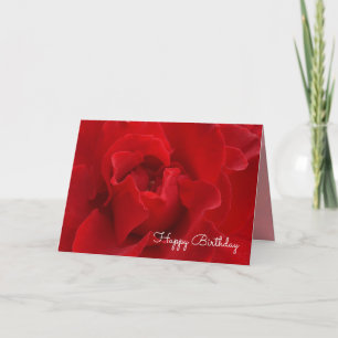Crimson Rose Happy Birthday Card