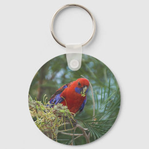 Crimson Rosella Keychain