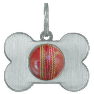 Crimson Stitch Focus: Close-Up of Cricket's Heart Pet Tag