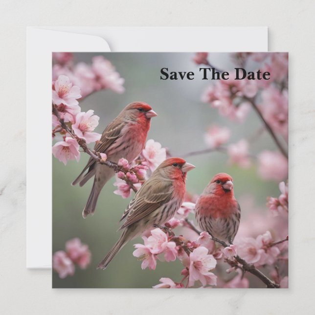 "Crimson Trio: Red Finches Amidst Pink Blooms" Save The Date (Front)