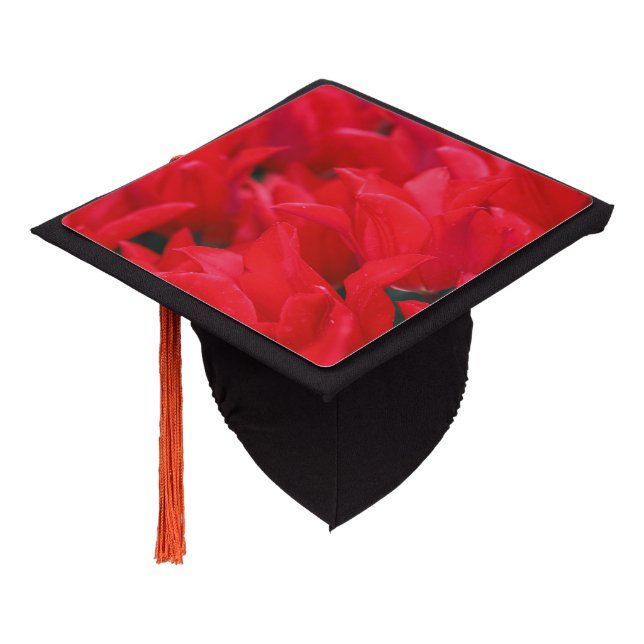 Crimson Waves  Graduation Cap Topper (Angled)