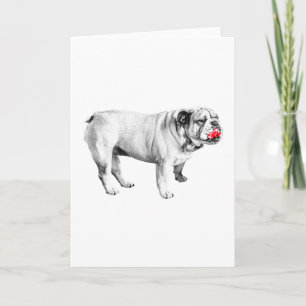 crimson wish, bulldog card