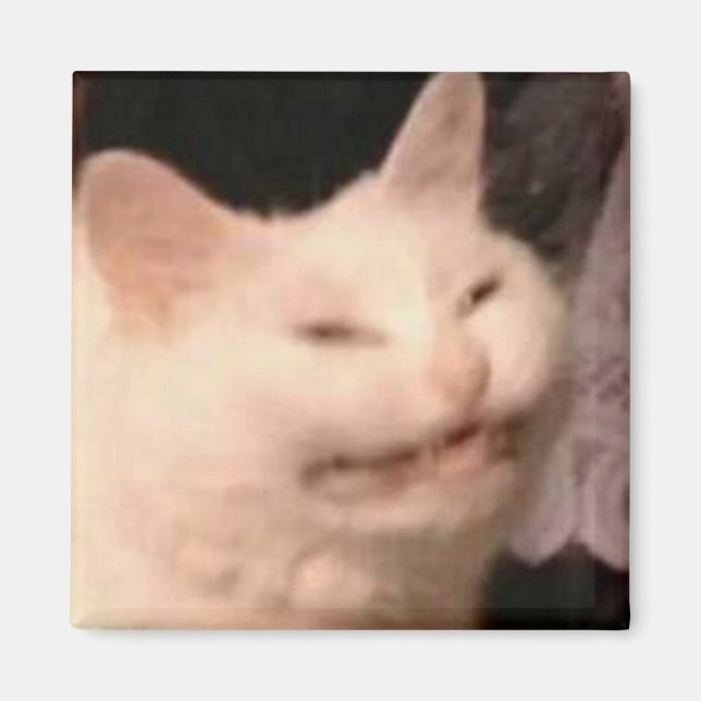 Cringe cat meme magnet (Front)