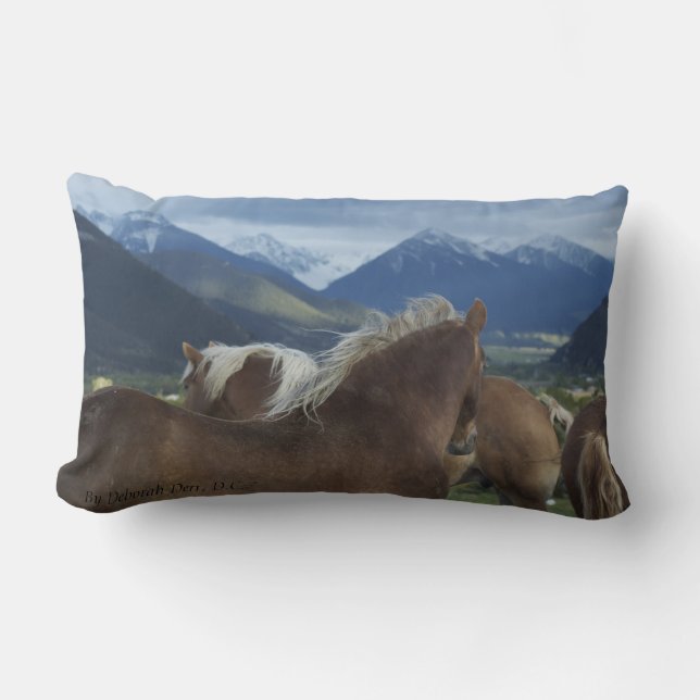 Crinières et coussin de montagnes (Recto)