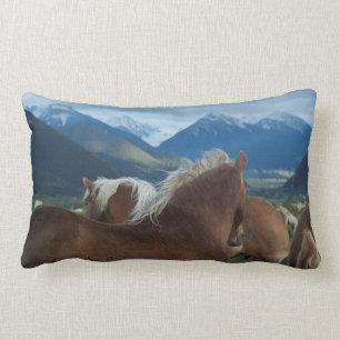 Crinières et coussin de montagnes