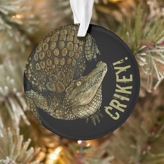Crique de crocodile ! (Arbre)