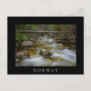Crique de la forêt rocheuse en Norvège carte posta