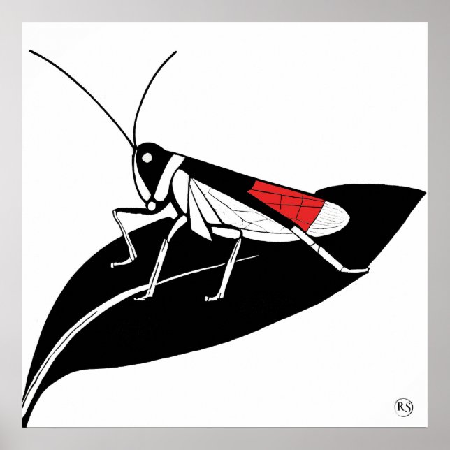 Criquet sur une feuille - Impression d'art d'archi (Devant)