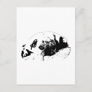 Crisp Day, Happy News Postcard
