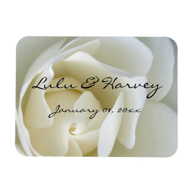 Crisp White Rose Magnet (Horizontal)