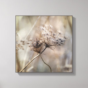 Crisscross Dried Queen Anne's Lace Neutral Colours Canvas Print
