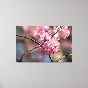 Crisscrossed Sakura Tree Twigs In The Garden Canvas Print
