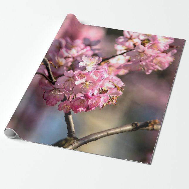 Crisscrossed Sakura Tree Twigs Wrapping Paper (Unrolled)