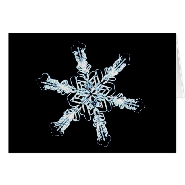 Cristal stellaire de neige (Devant horizontal)