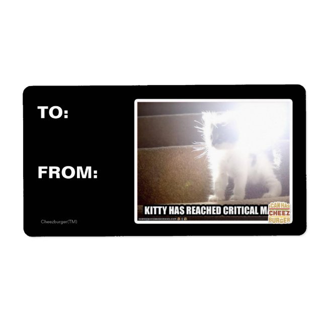 Critical Mass Kitty (Front)