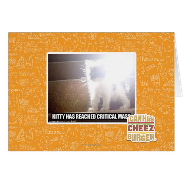 Critical Mass Kitty (Front Horizontal)