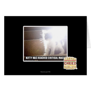 Critical Mass Kitty