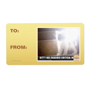Critical Mass Kitty