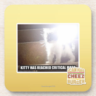 Critical Mass Kitty Coaster