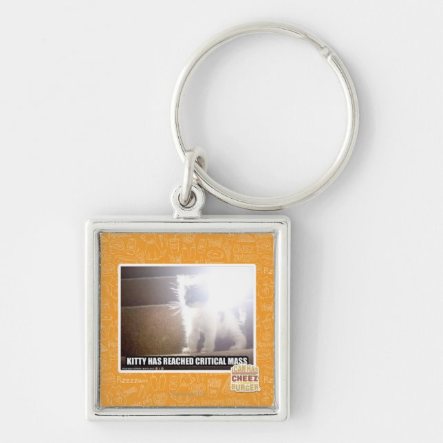 Critical Mass Kitty Keychain (Front)