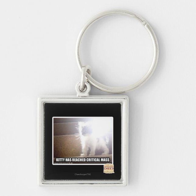 Critical Mass Kitty Keychain (Front)